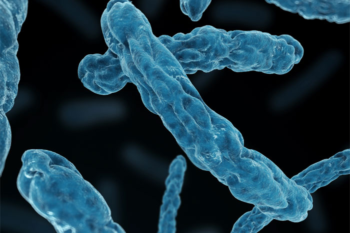 Microbiology